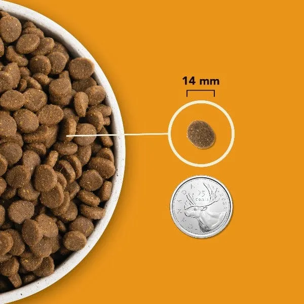 ACANA Highest Protein Wild Prairie Recipe Dry Dog Food