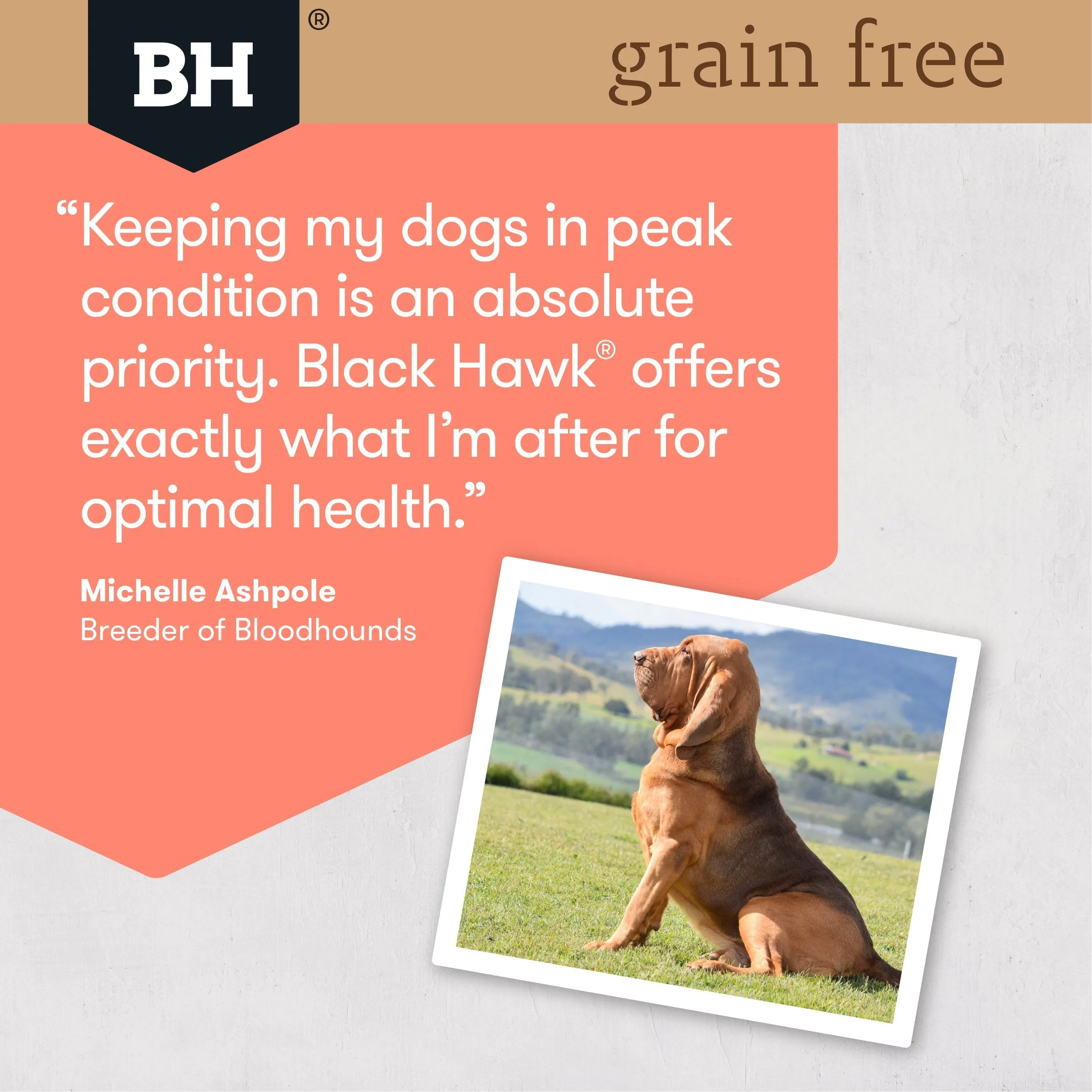 Black Hawk Grain Free Salmon Dry Dog Food 2.5kg