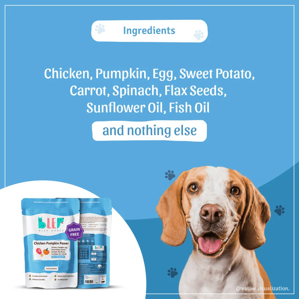 BLEP Chicken & Pumpkin Pawer Dog Wet Food (300g) (Limited Shelf Life)
