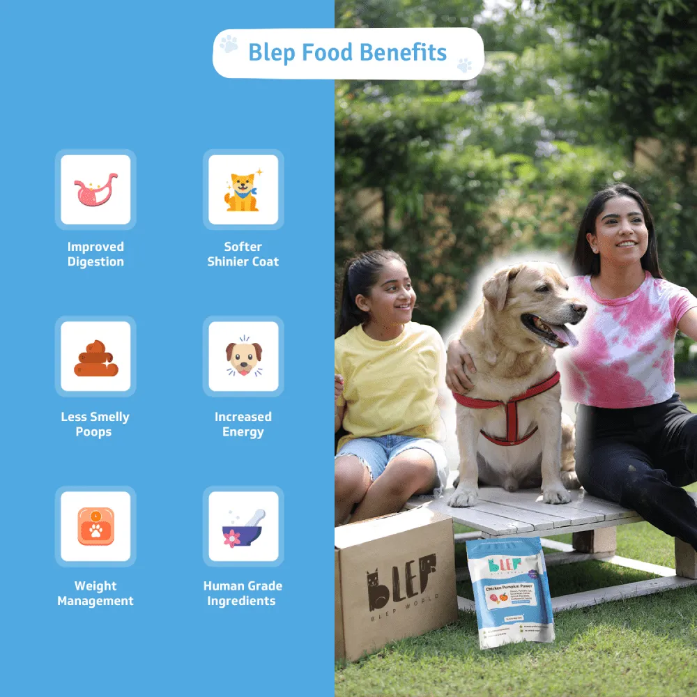 BLEP Chicken & Pumpkin Pawer Dog Wet Food (300g) (Limited Shelf Life)