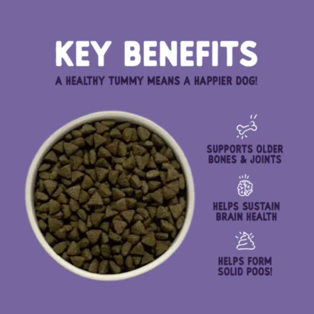 Burgess Sensitive Senior 7  Dog Food with Turkey 12.5kg