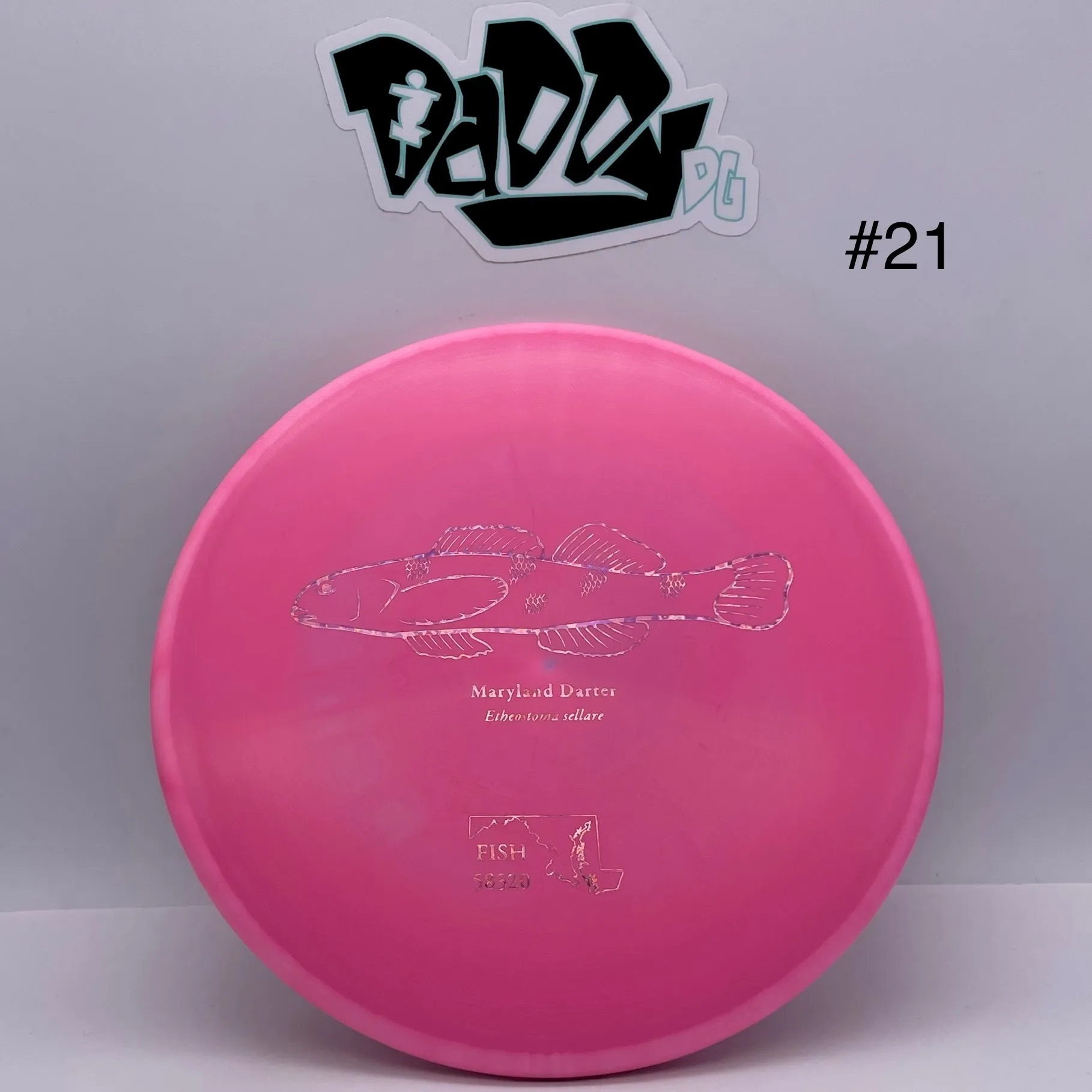 Discraft ESP Zone Andrew Fish 2023 Tour Series Stamped Putt & Approach