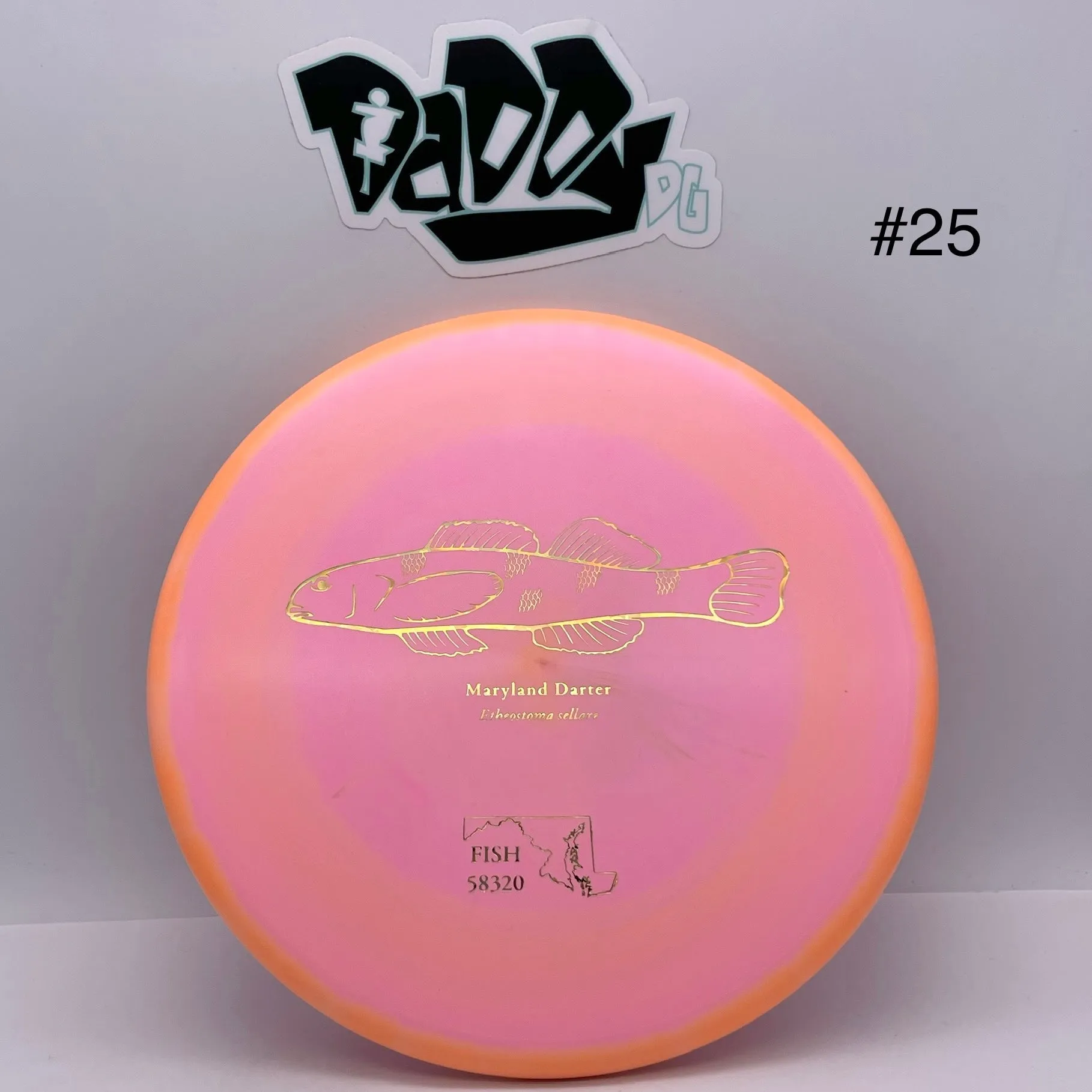Discraft ESP Zone Andrew Fish 2023 Tour Series Stamped Putt & Approach