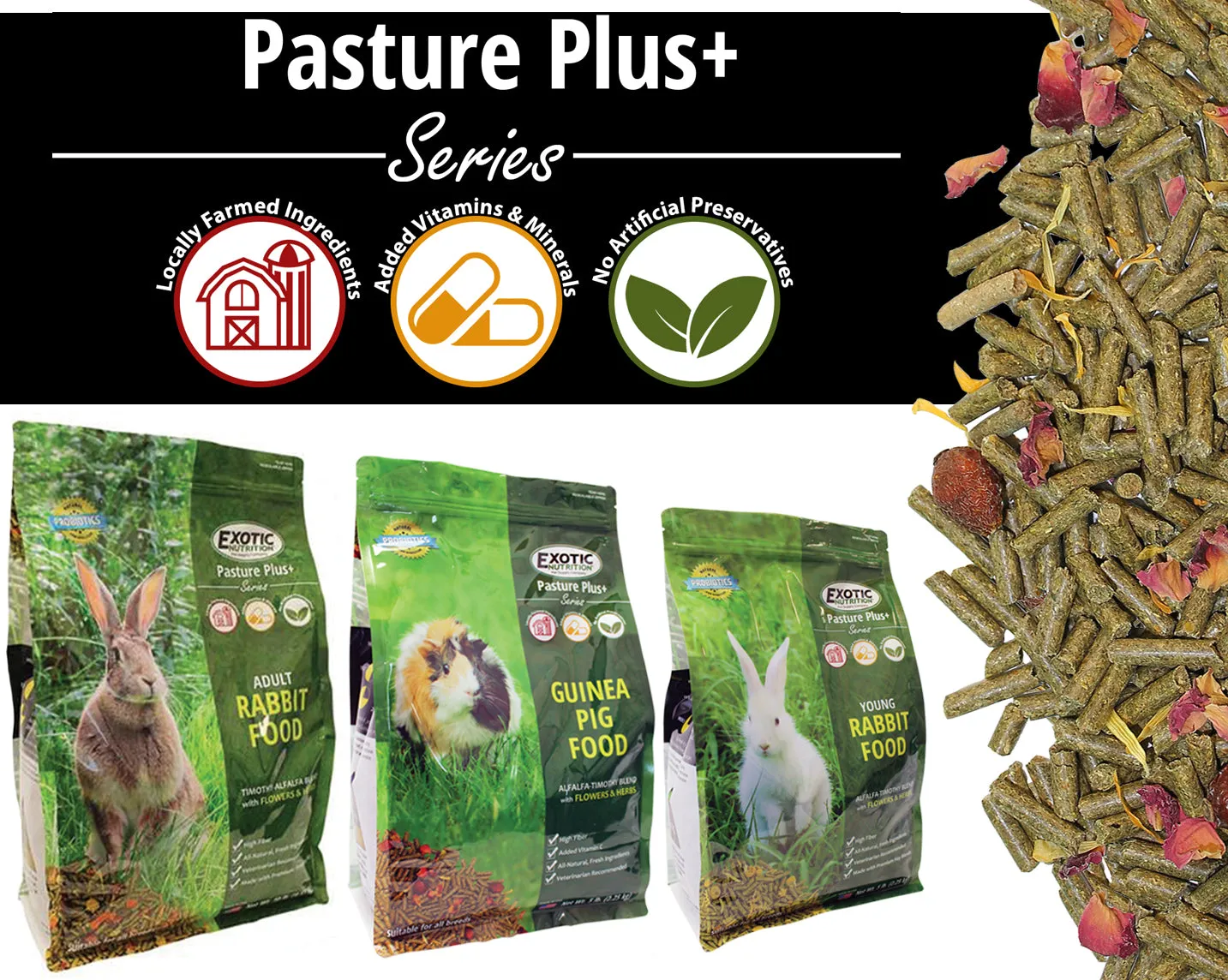 Guinea Pig Food 4.2 lb.