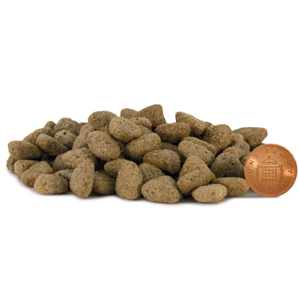 Lovejoys Fish Adult Hypoallergenic Complete Dog Food