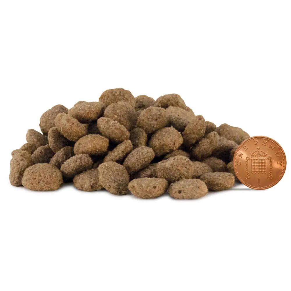 Lovejoys Turkey Hypoallergenic Complete Senior/Light Dog Food