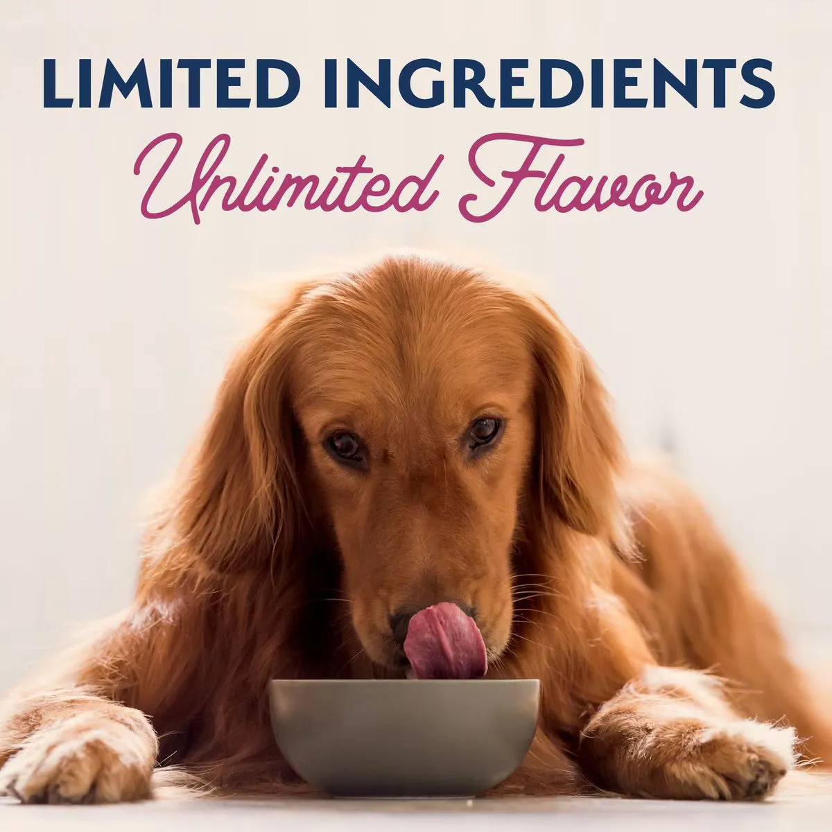 Natural Balance Limited Ingredient Canned Dog Food
