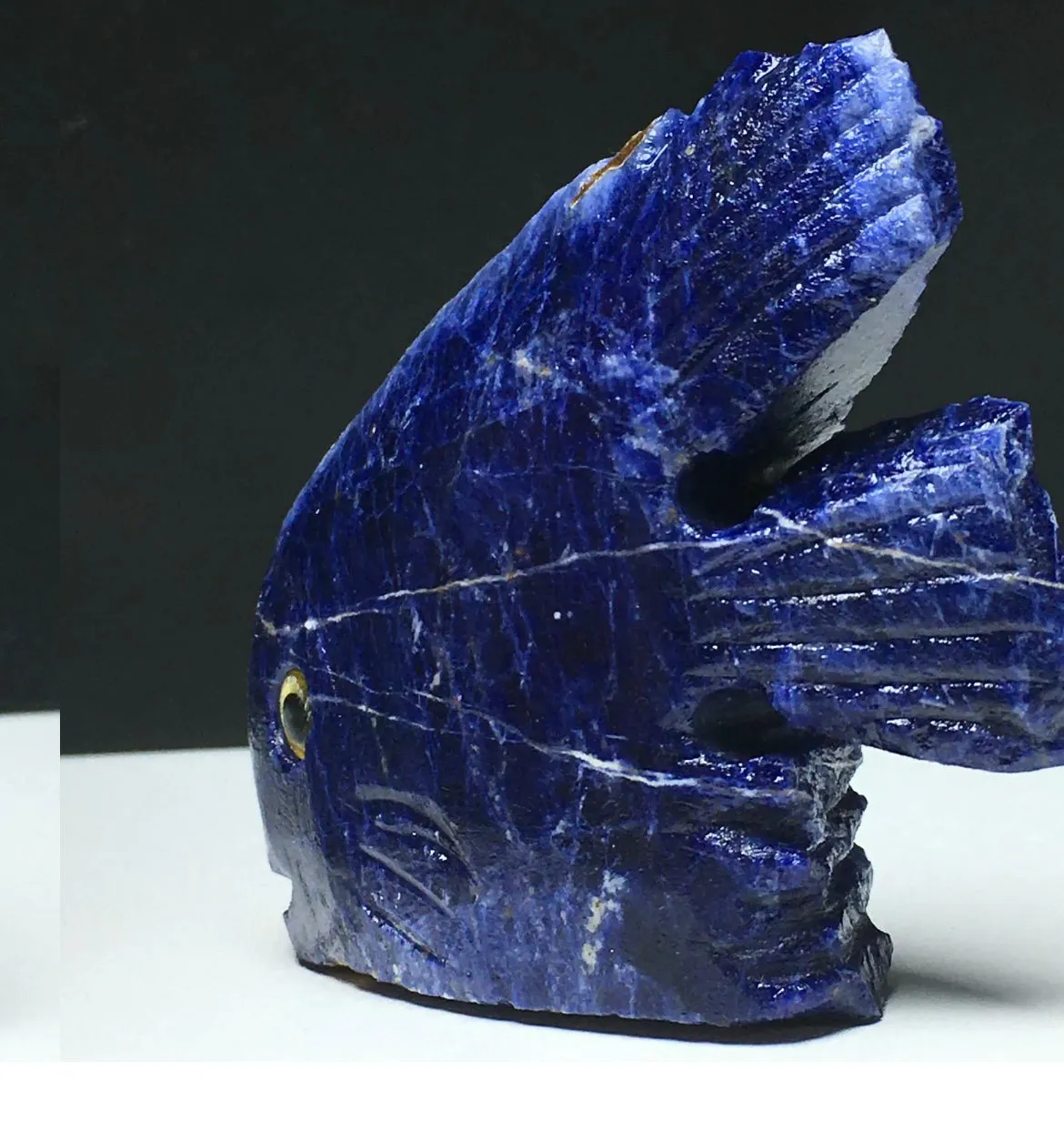 Natural Sodalite gemstone Fish Figurine