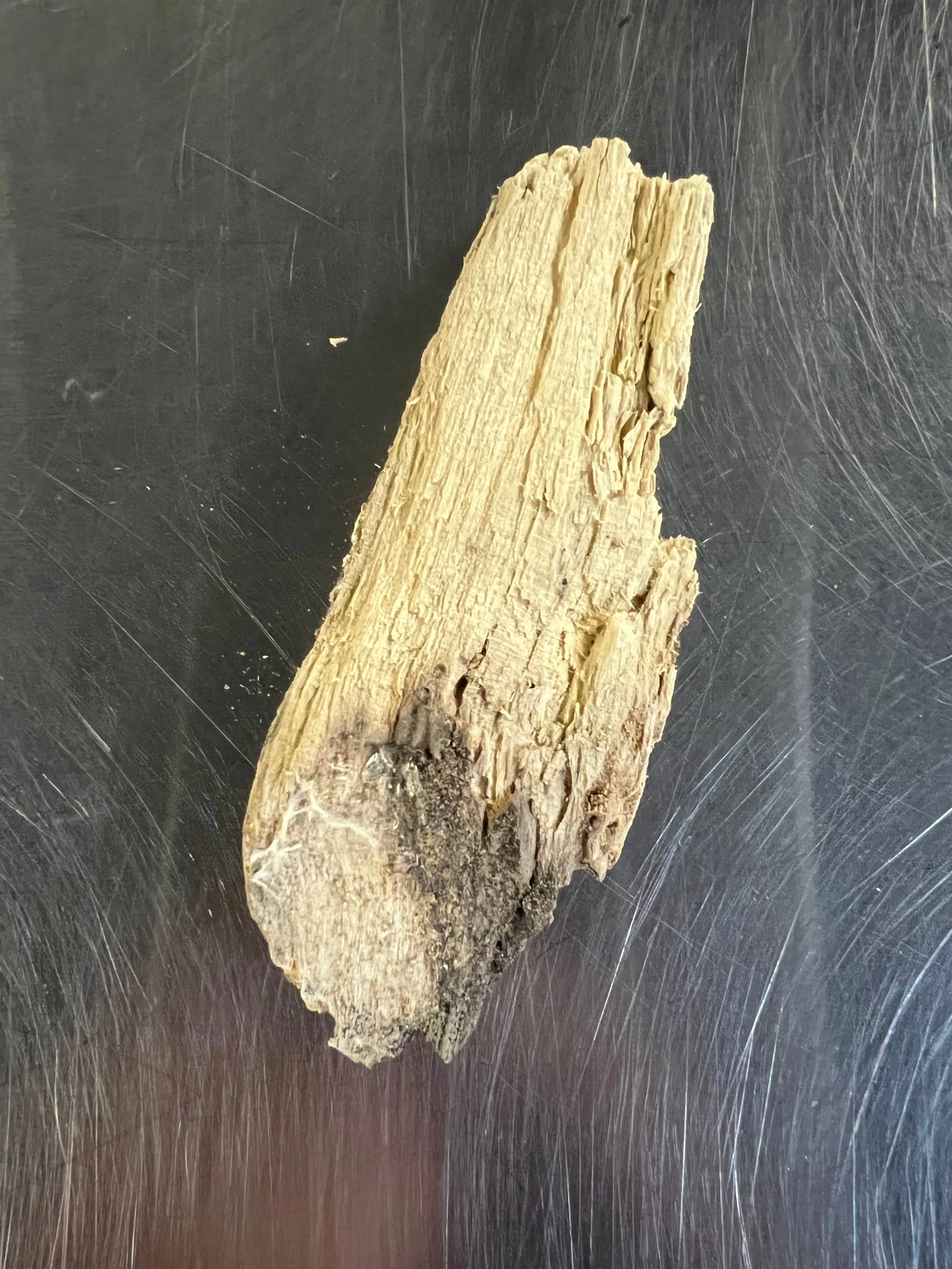 Rotten Hardwood (Millipede Food)