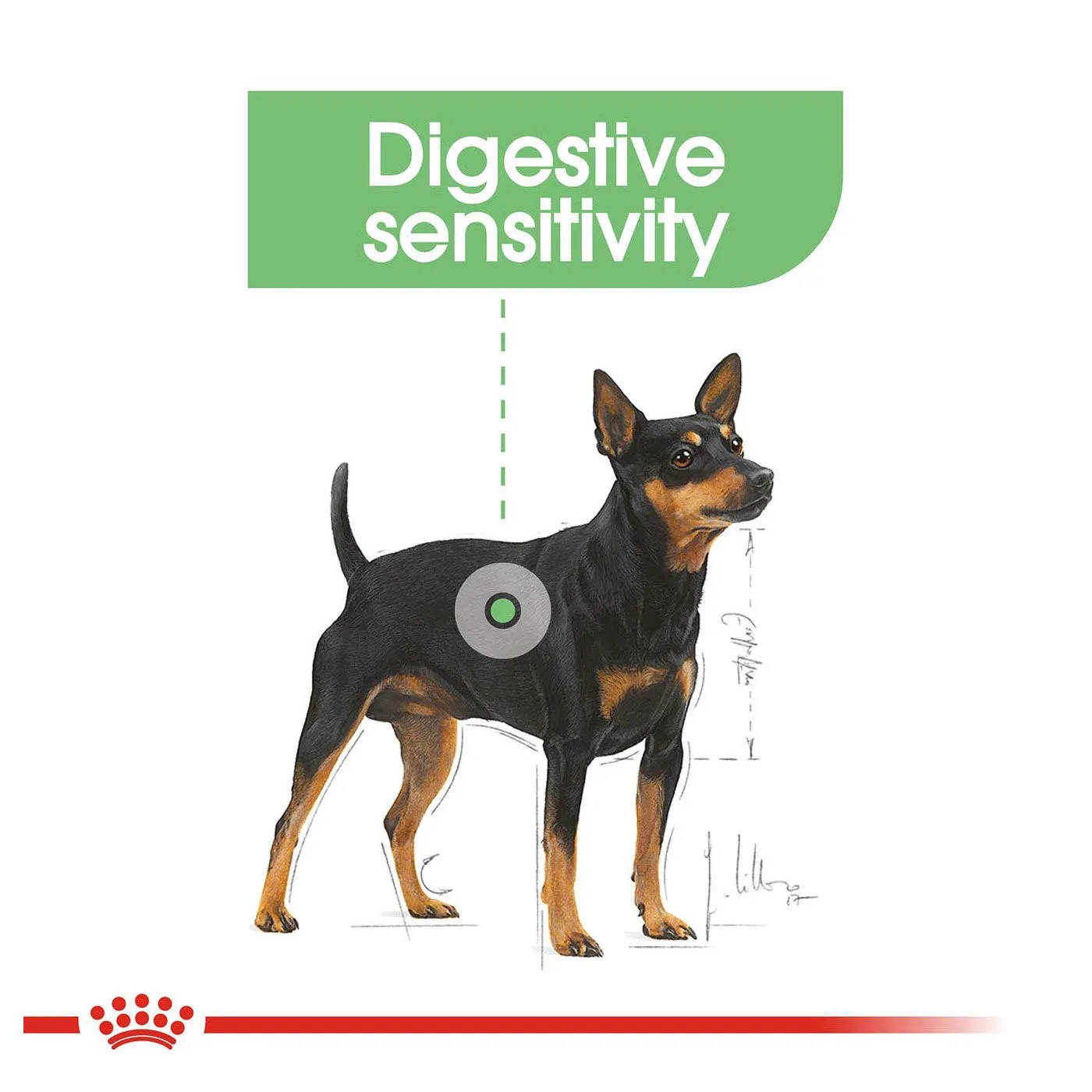 Royal Canin Mini Adult Digestive Care Dog Food 3KG