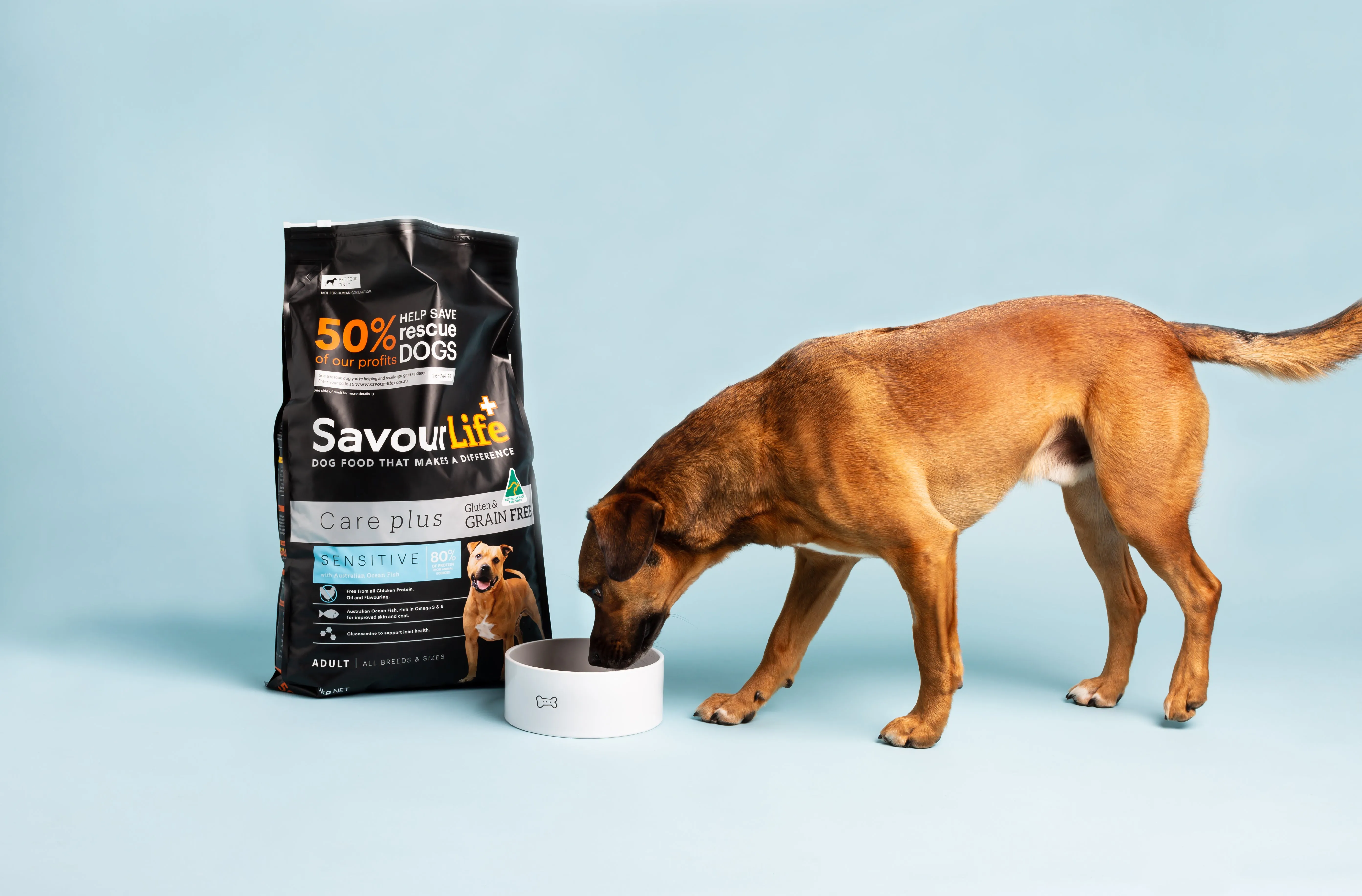 SavourLife Grain Free Care Plus Adult Dog Sensitive Ocean Fish Dry Food