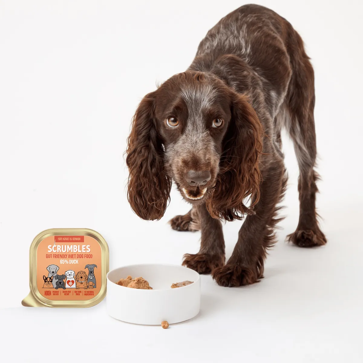 Sensitive Duck Wet Dog Food (150g)