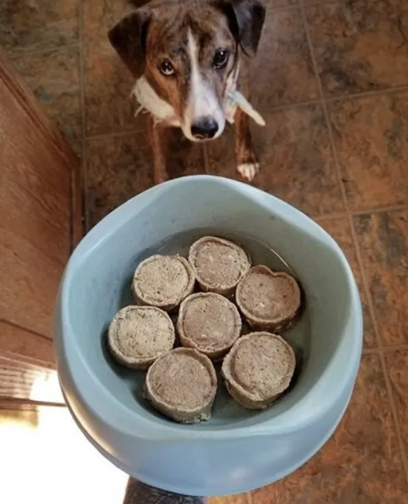 Smallbatch Freeze-dried Pork Sliders 14oz