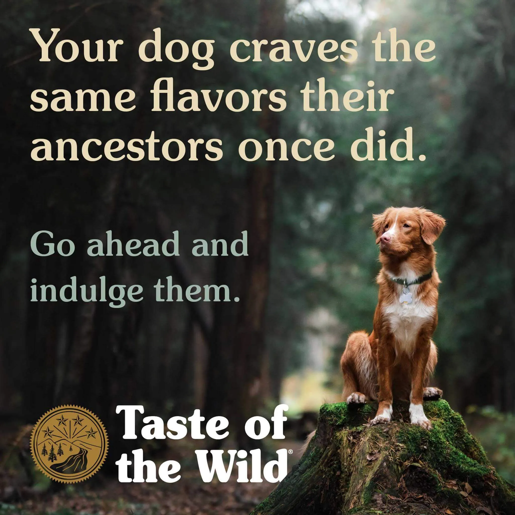 Taste of the Wild Small Breed Dry Dog Food